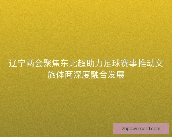 辽宁两会聚焦东北超助力足球赛事推动文旅体商深度融合发展