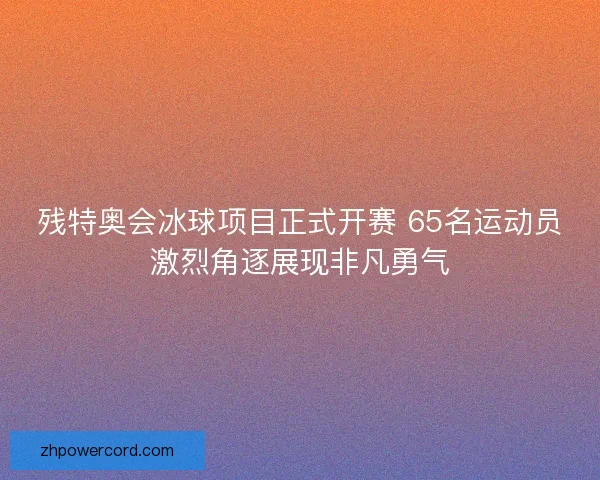 残特奥会冰球项目正式开赛 65名运动员激烈角逐展现非凡勇气