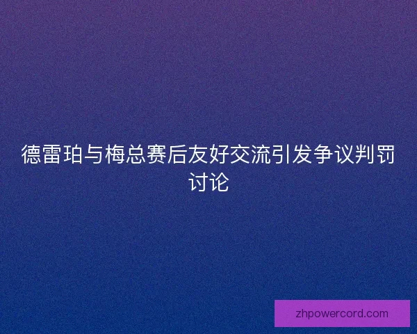 德雷珀与梅总赛后友好交流引发争议判罚讨论
