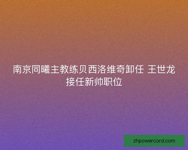 南京同曦主教练贝西洛维奇卸任 王世龙接任新帅职位